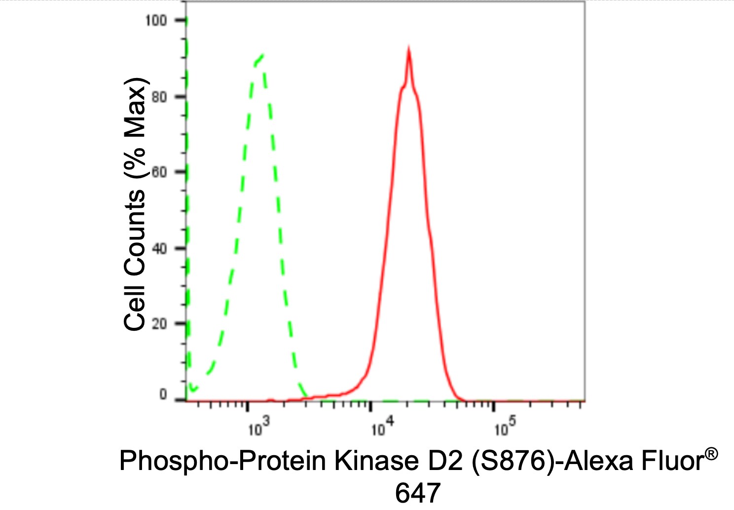 Protein Kinase D2 [p Ser876] Antibody (24GB1655)
