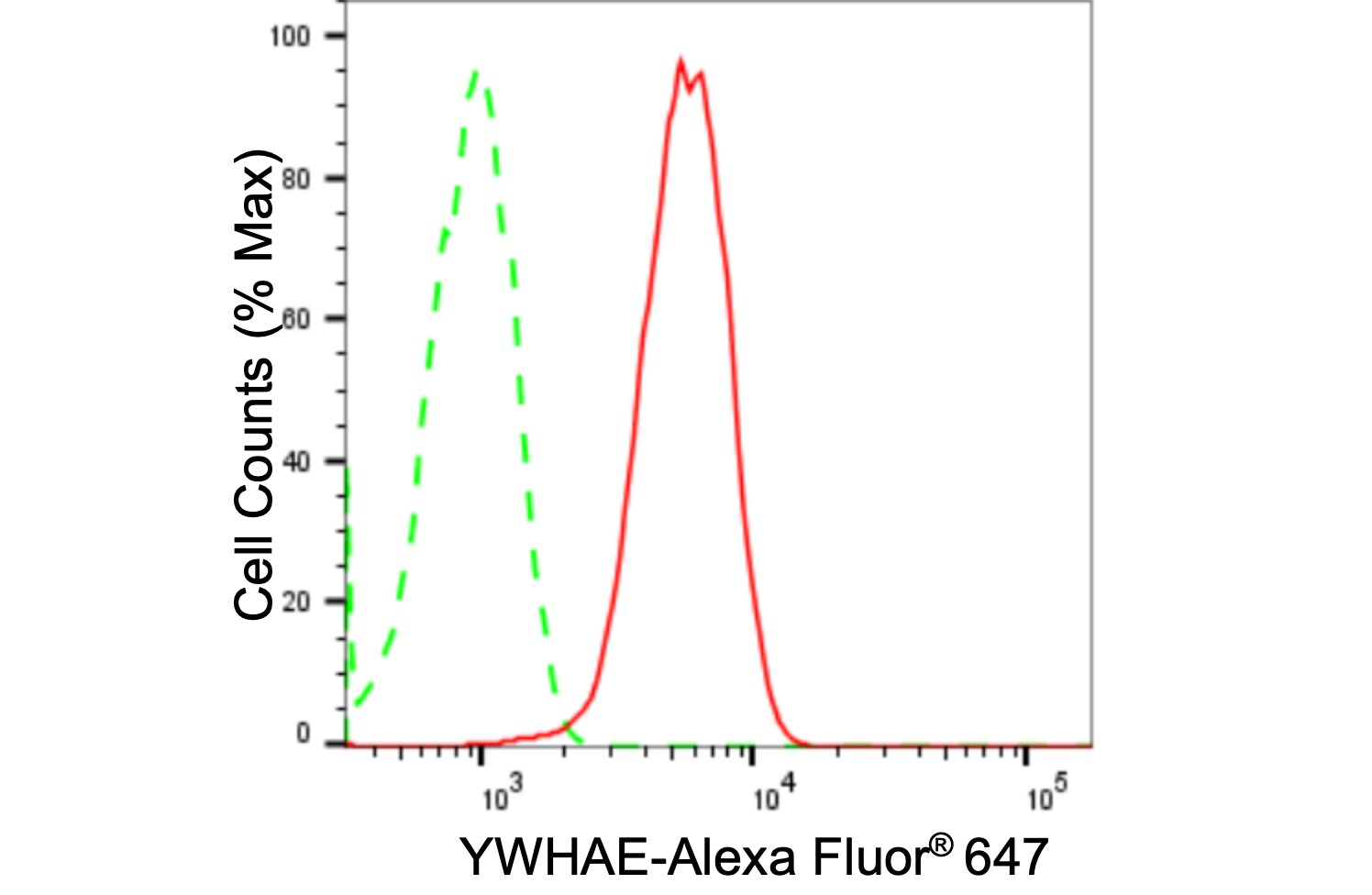 14-3-3 epsilon Antibody (24GB2120)