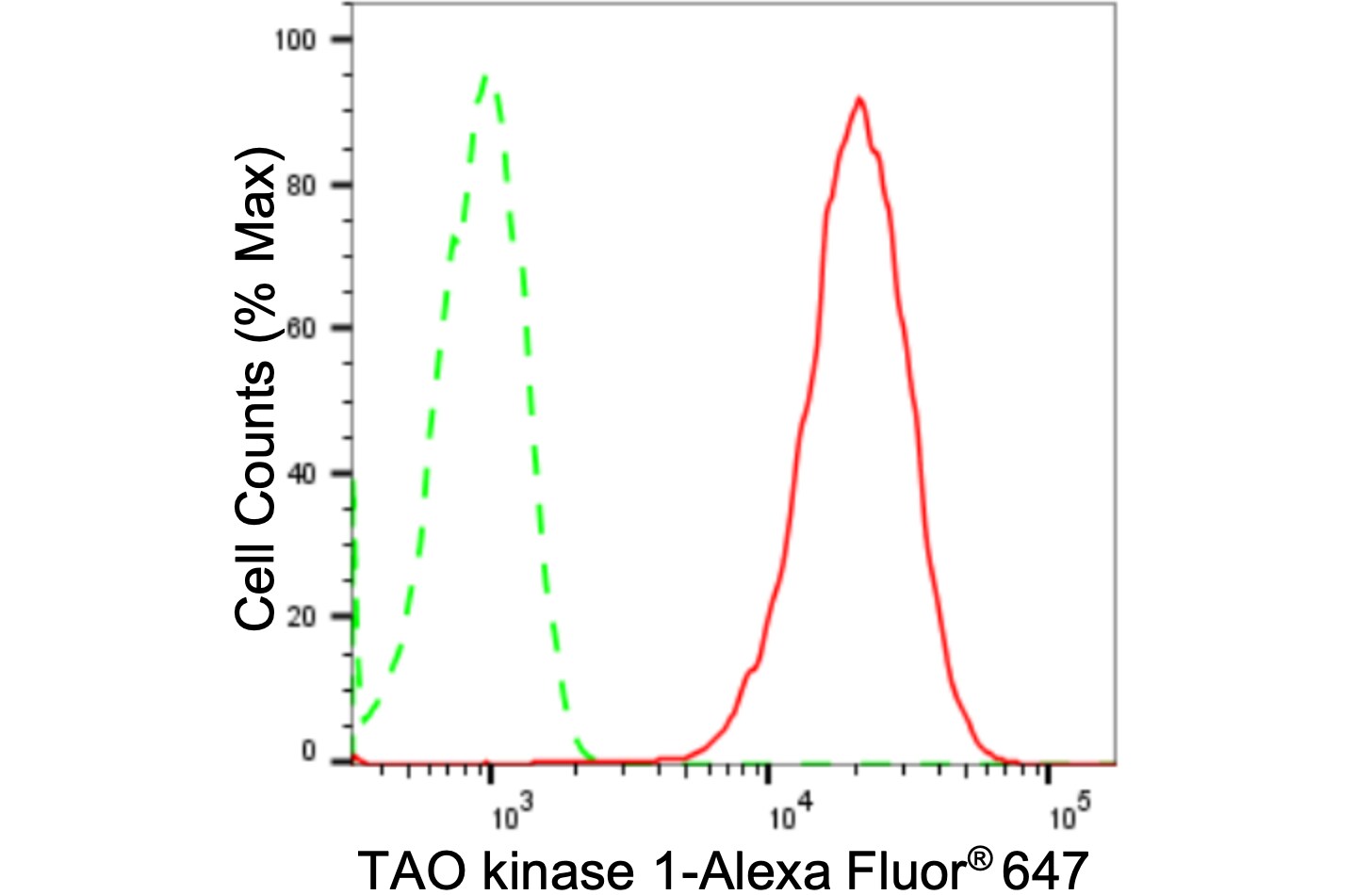 TAO Kinase 1 Antibody (24GB2320)