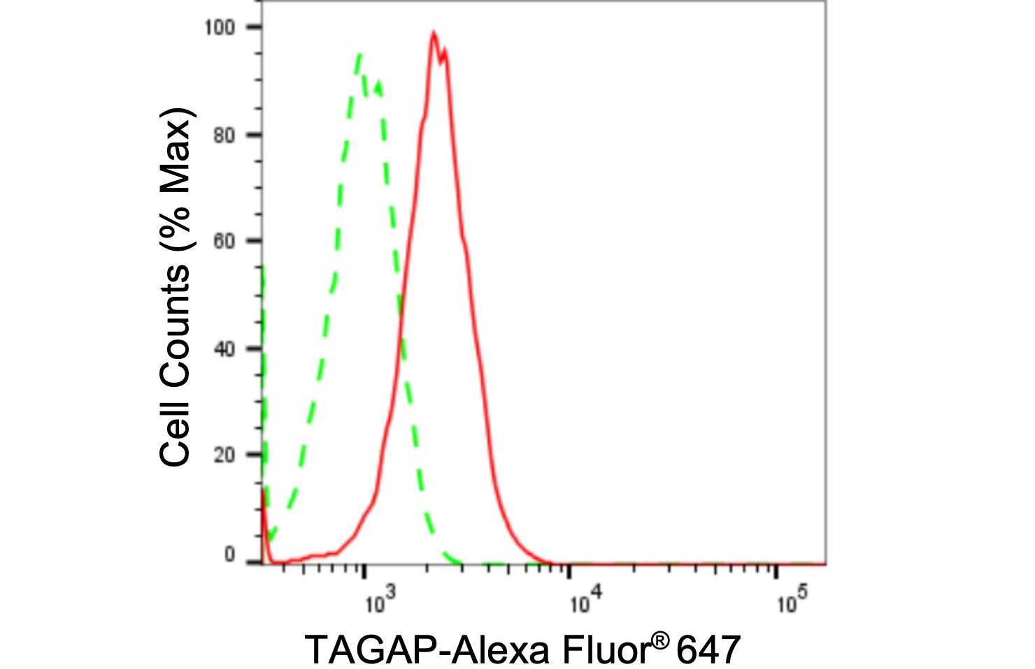 TAGAP Antibody (24GB2330)