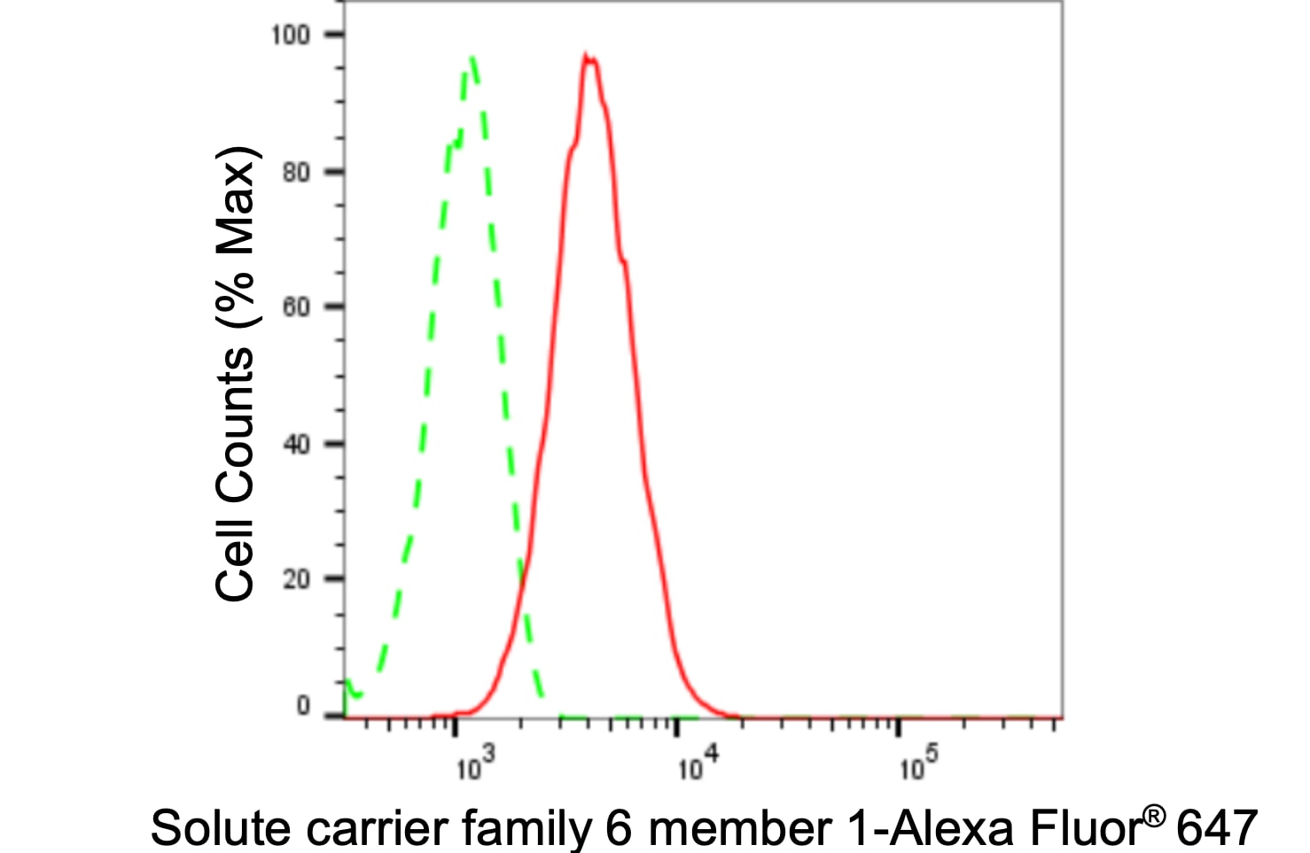 GAT-1/SLC6A1 Antibody (24GB2390)