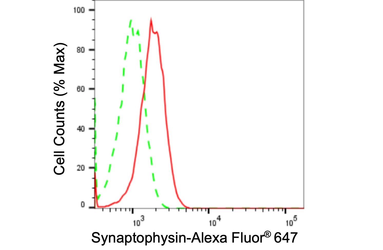 Synaptophysin Antibody (24GB1970)