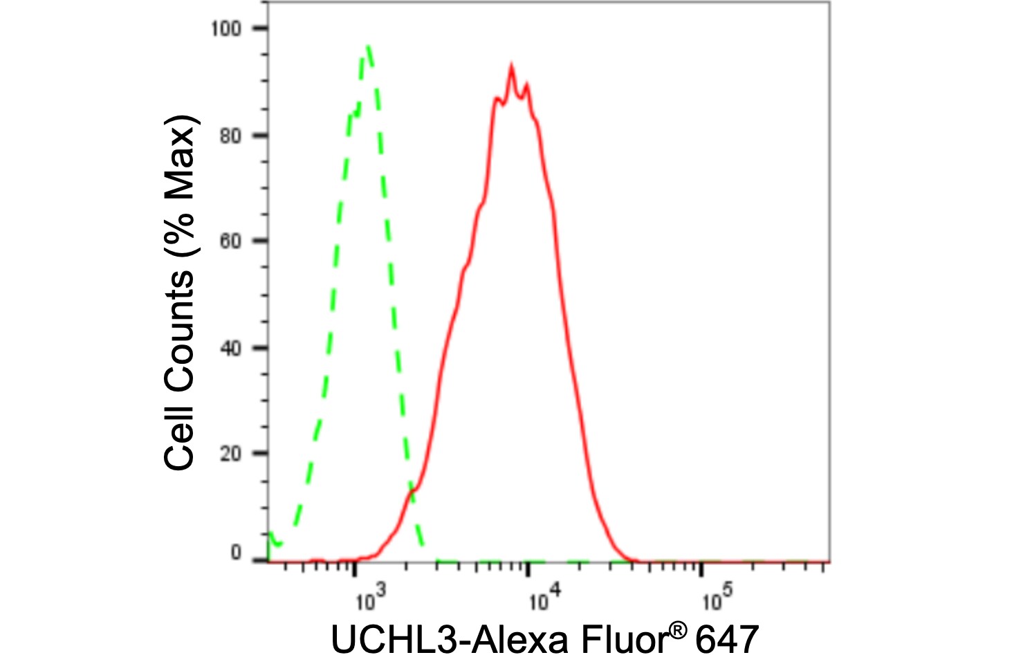 UCH-L3 Antibody (24GB1975)