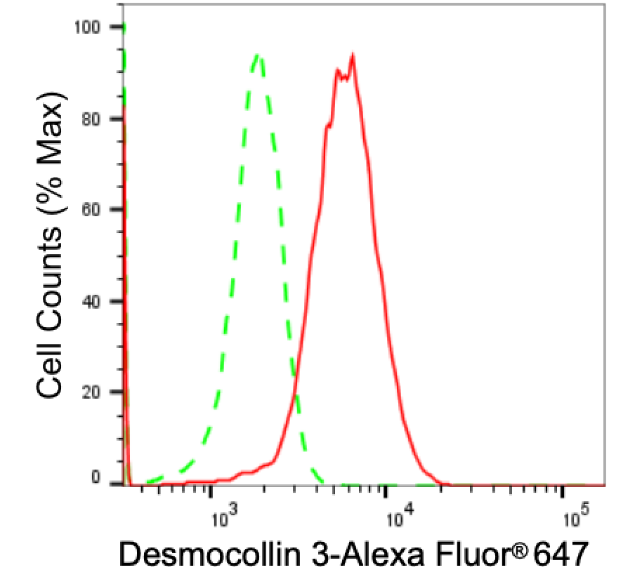 Desmocollin-3 Antibody (23GB1200)