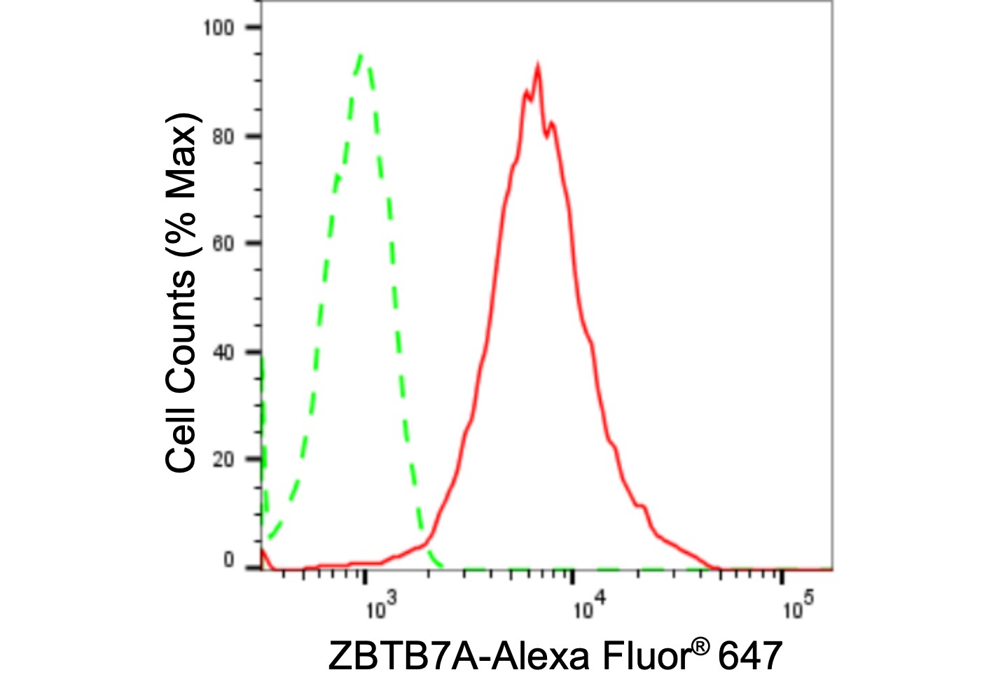 ZBTB7A/Pokemon Antibody (24GB2395)