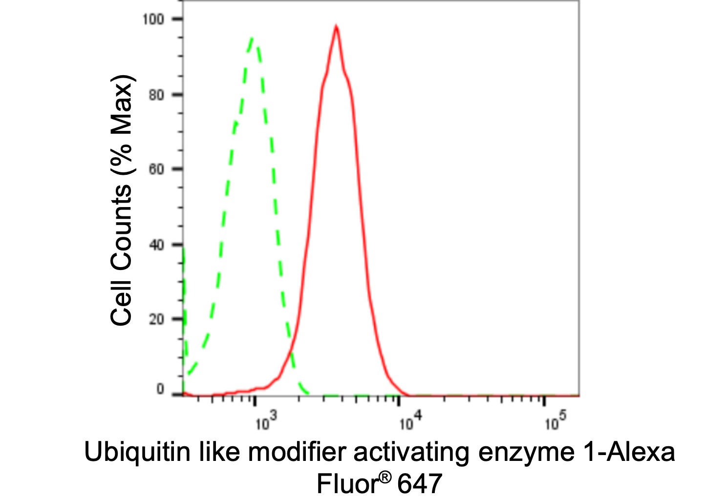 Ubiquitin-activating Enzyme/UBE1 Antibody (24GB2435)