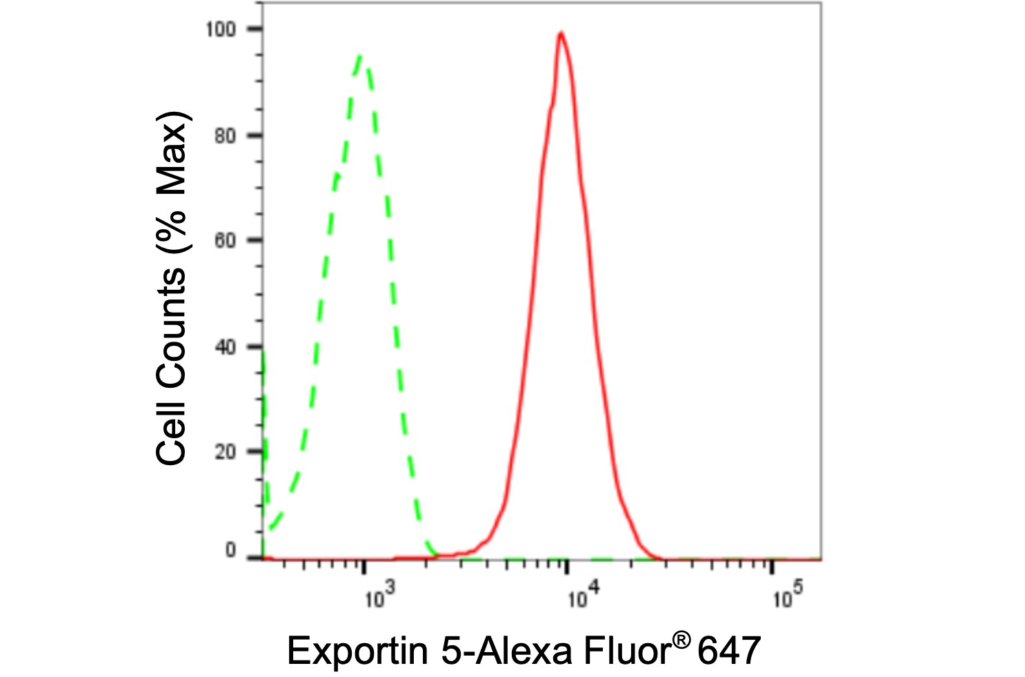 Exportin-5 Antibody (24GB2610)