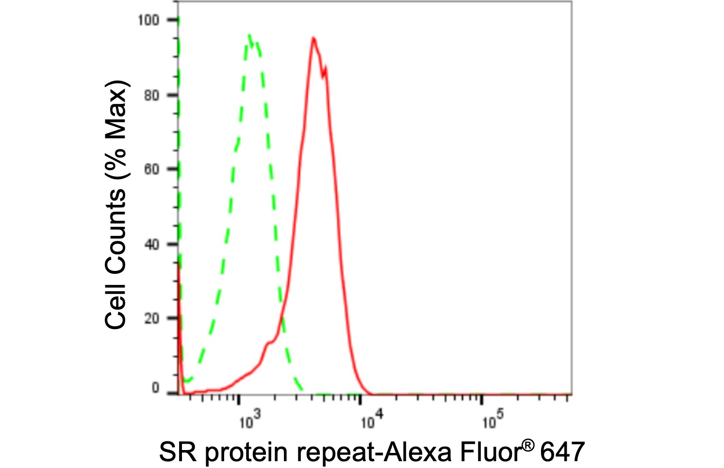 SRp55 Antibody (24GB1825)
