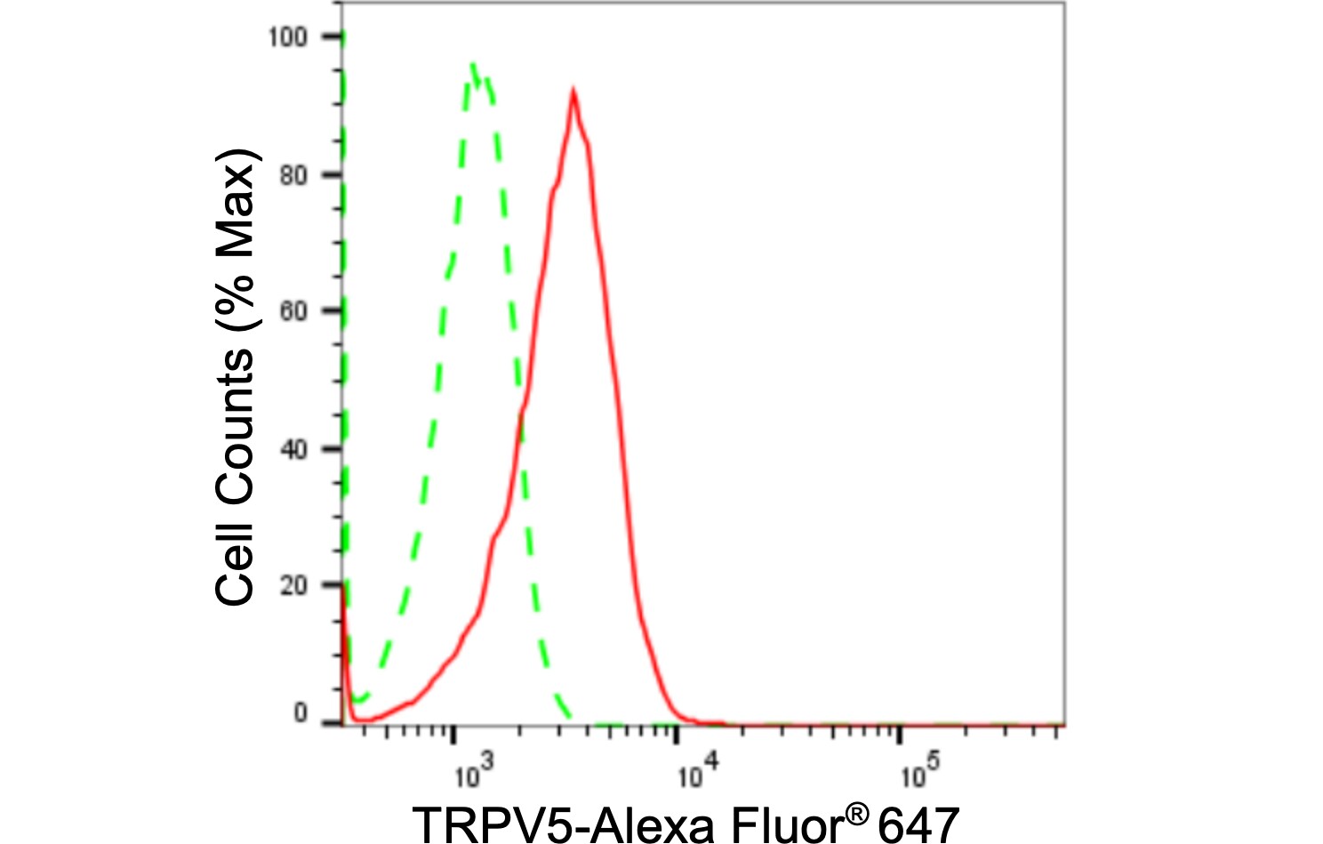 TRPV5 Antibody (24GB1850)