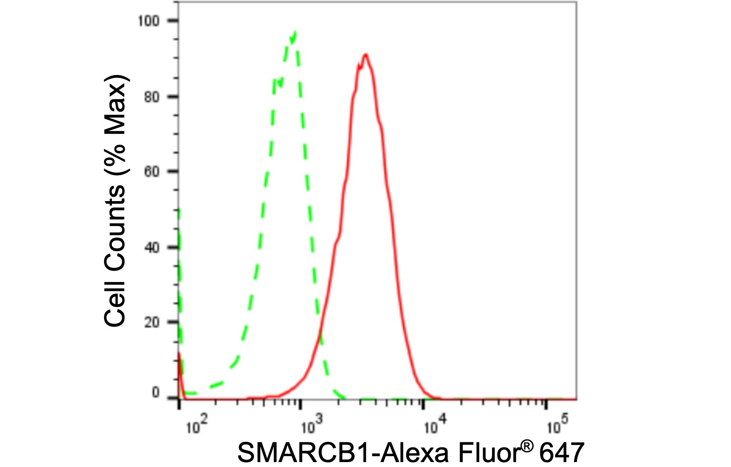 SNF5 Antibody (24GB1935)
