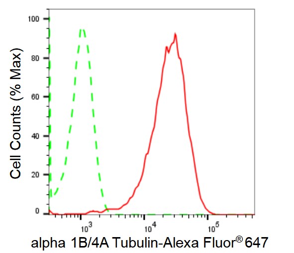 TUBA1B/TUBA4A Antibody (24GB2020)