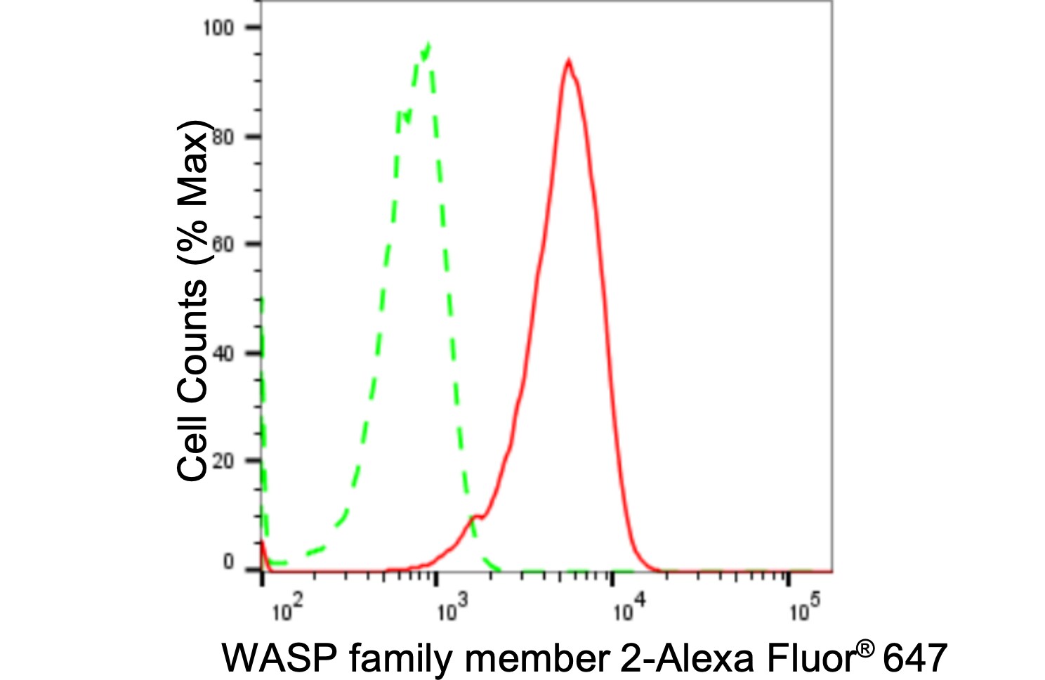 WASF2 Antibody (24GB2055)