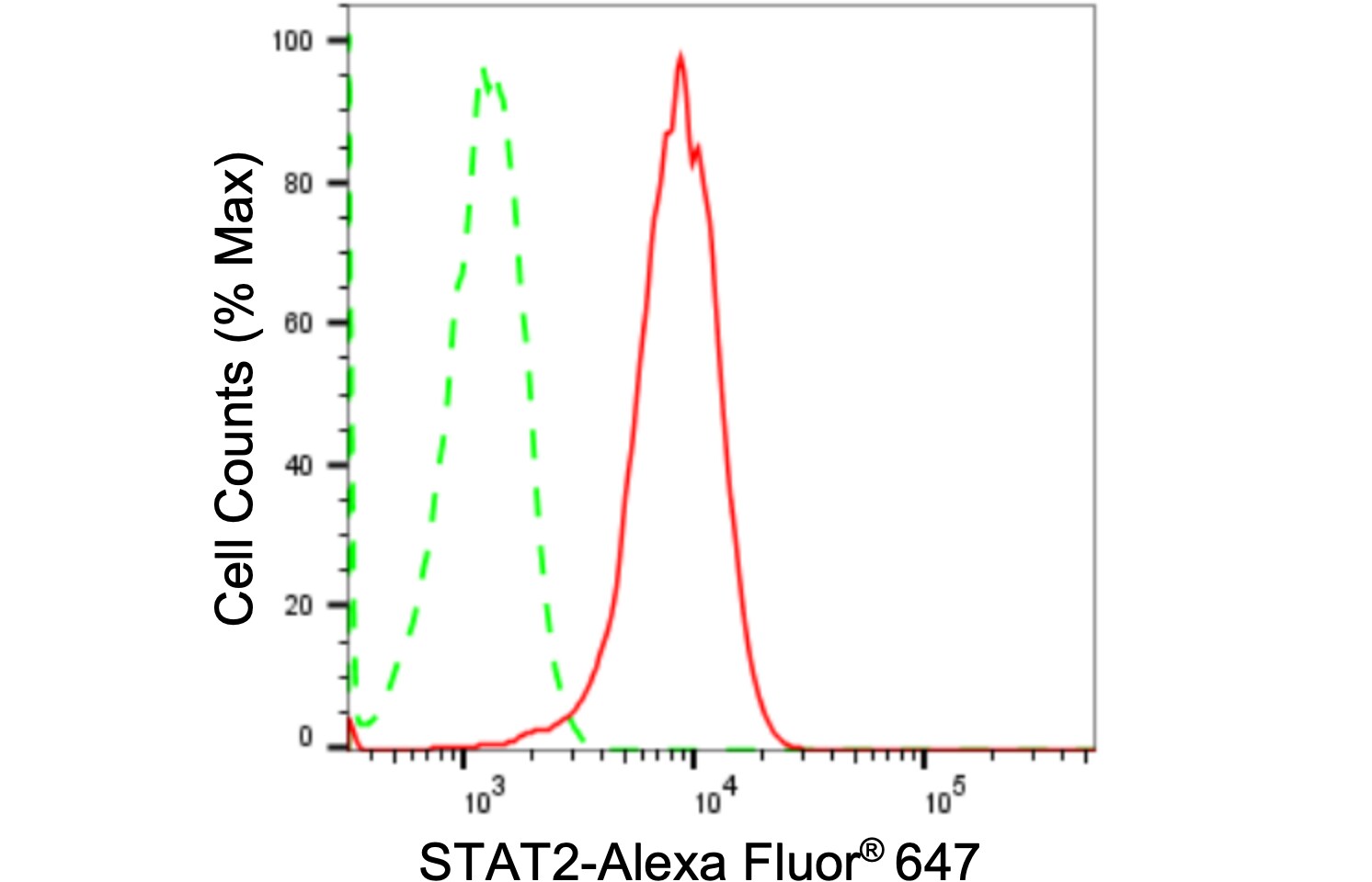 STAT2 Antibody (24GB2095)