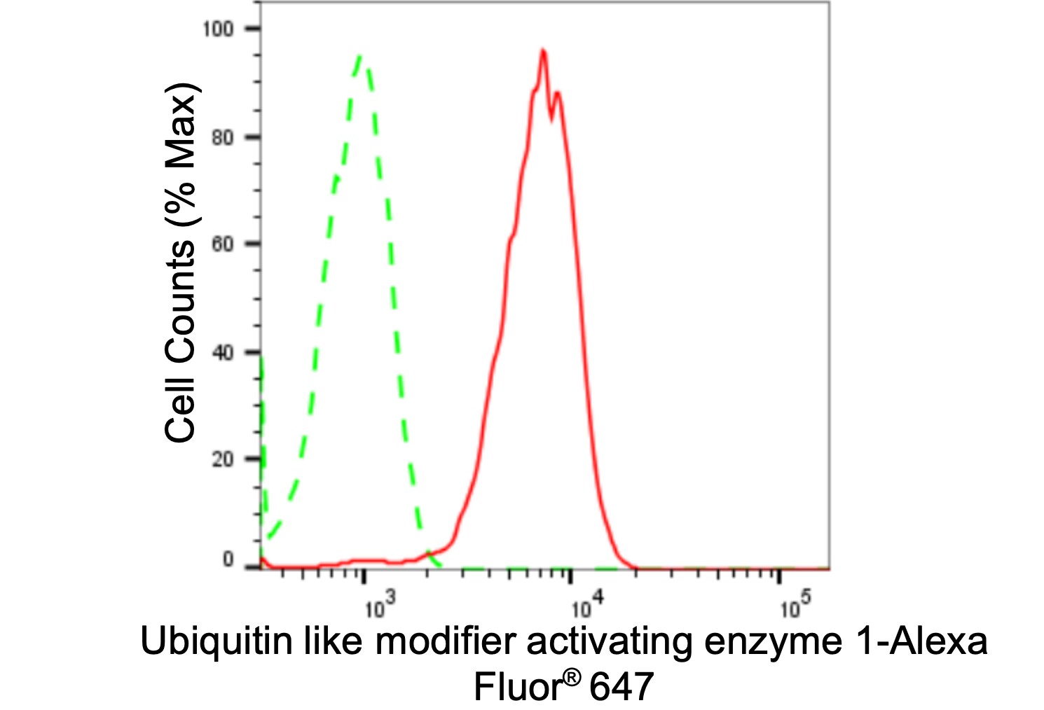 Ubiquitin-activating Enzyme/UBE1 Antibody (24GB2130)