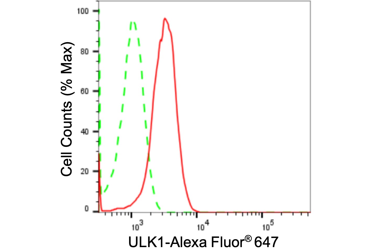 ULK1 Antibody (24GB2195)