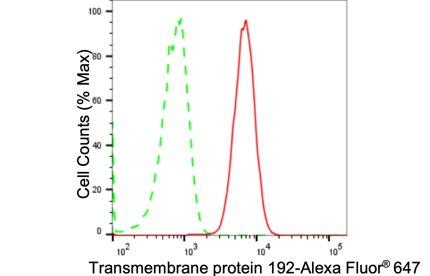 TMEM192 Antibody (24GB2305)