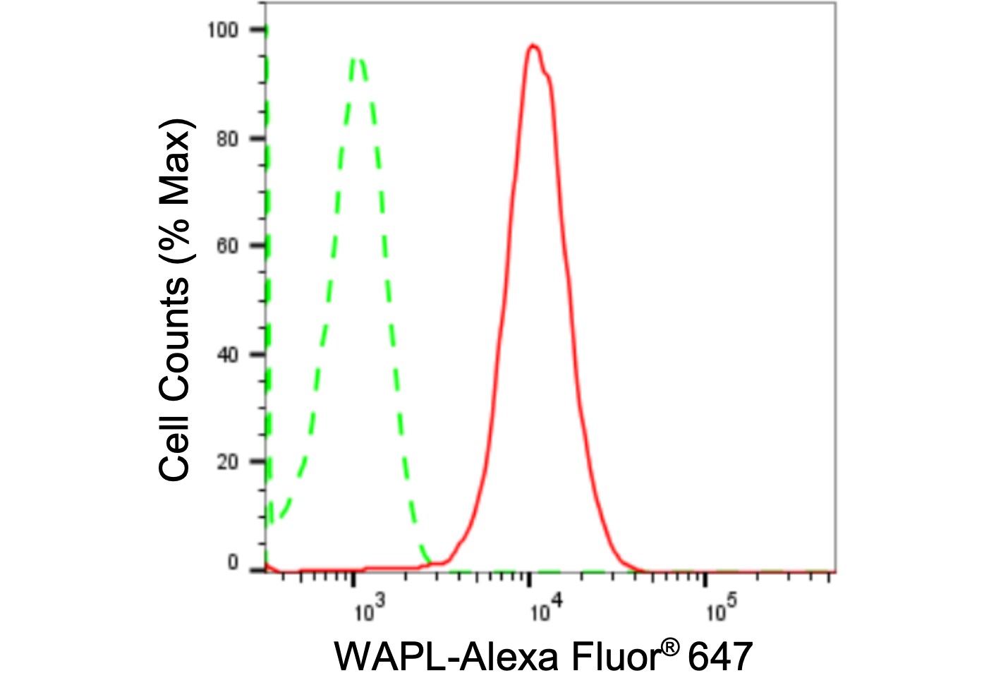 WAPL Antibody (24GB2675)