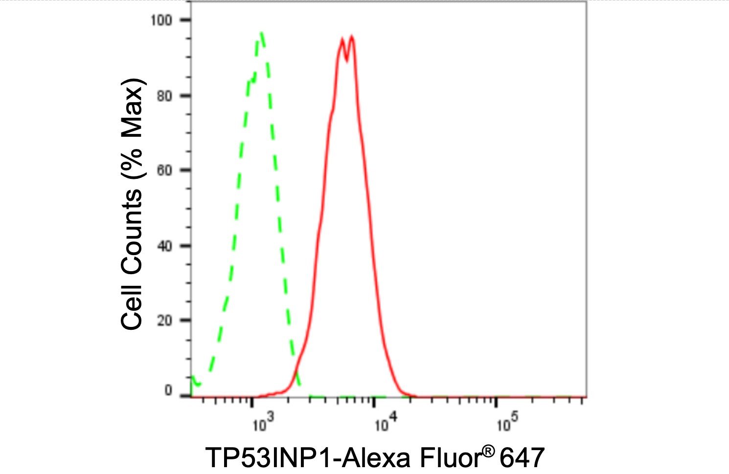p53 DINP1 Antibody (24GB2470)