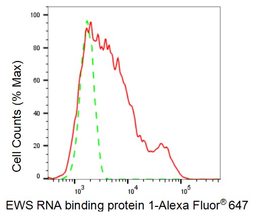 EWSR1 Antibody (23GB1590)
