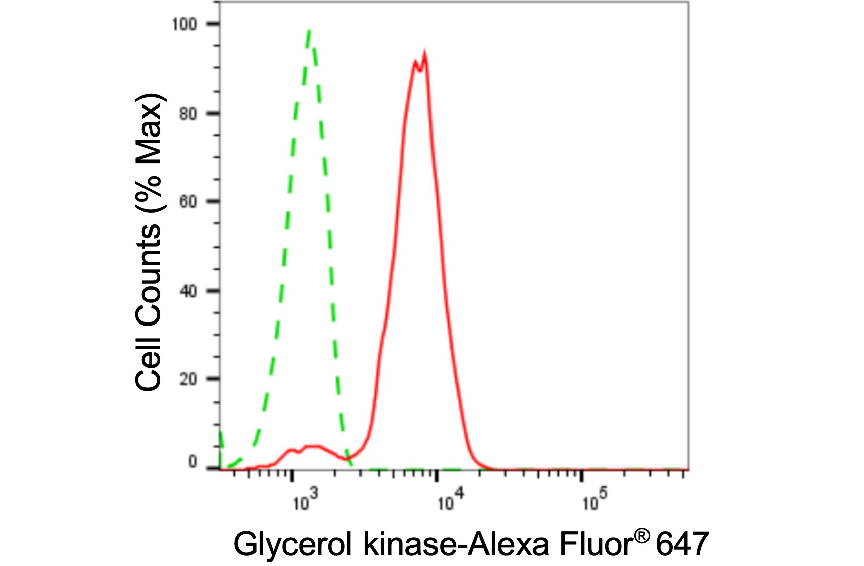 Glycerol Kinase Antibody (24GB3000)