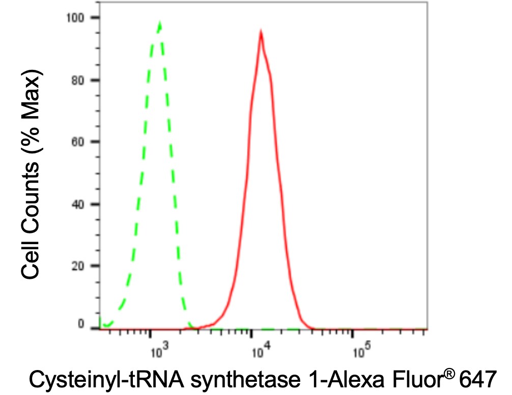 CARS Antibody (24GB3015)