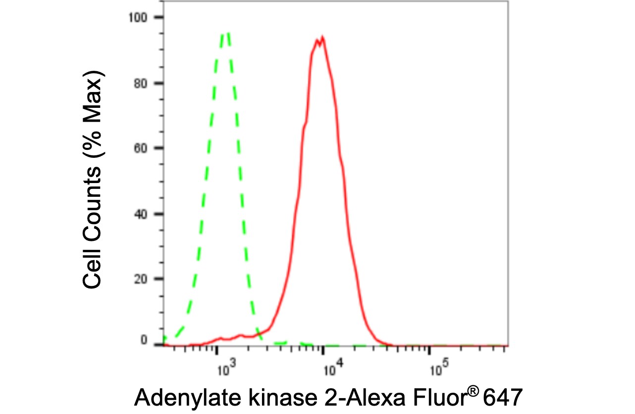AK2 Antibody (24GB3075)
