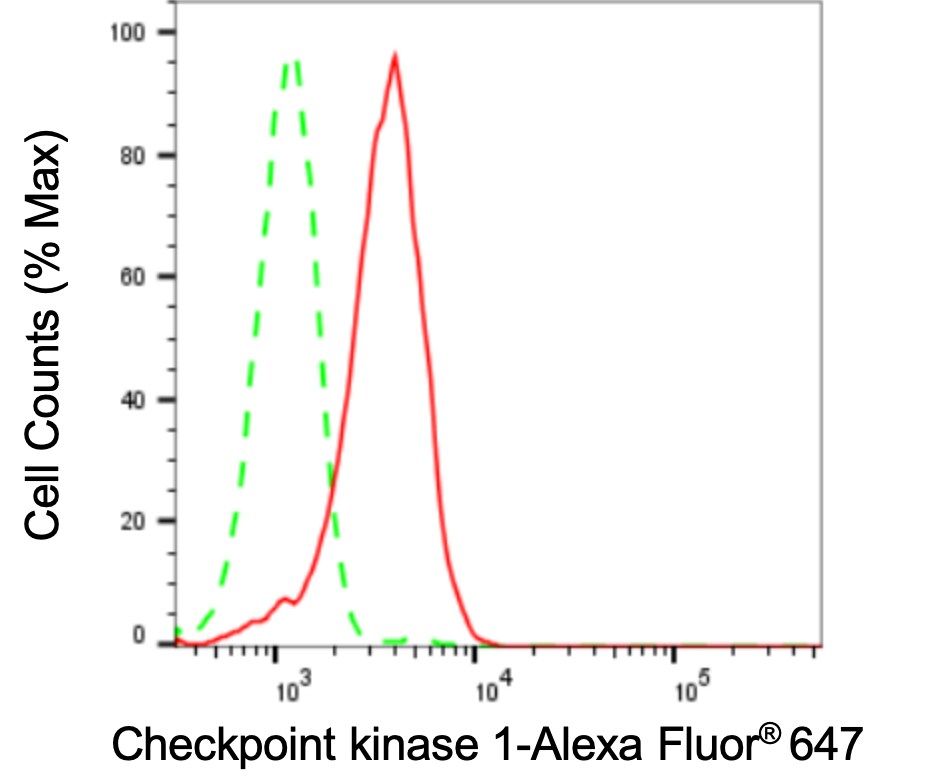 Chk1 Antibody (24GB3115)