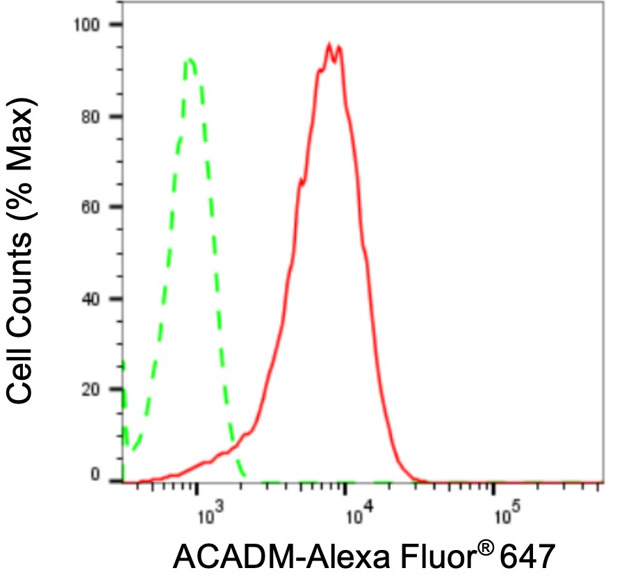 ACADM Antibody (24GB3160)