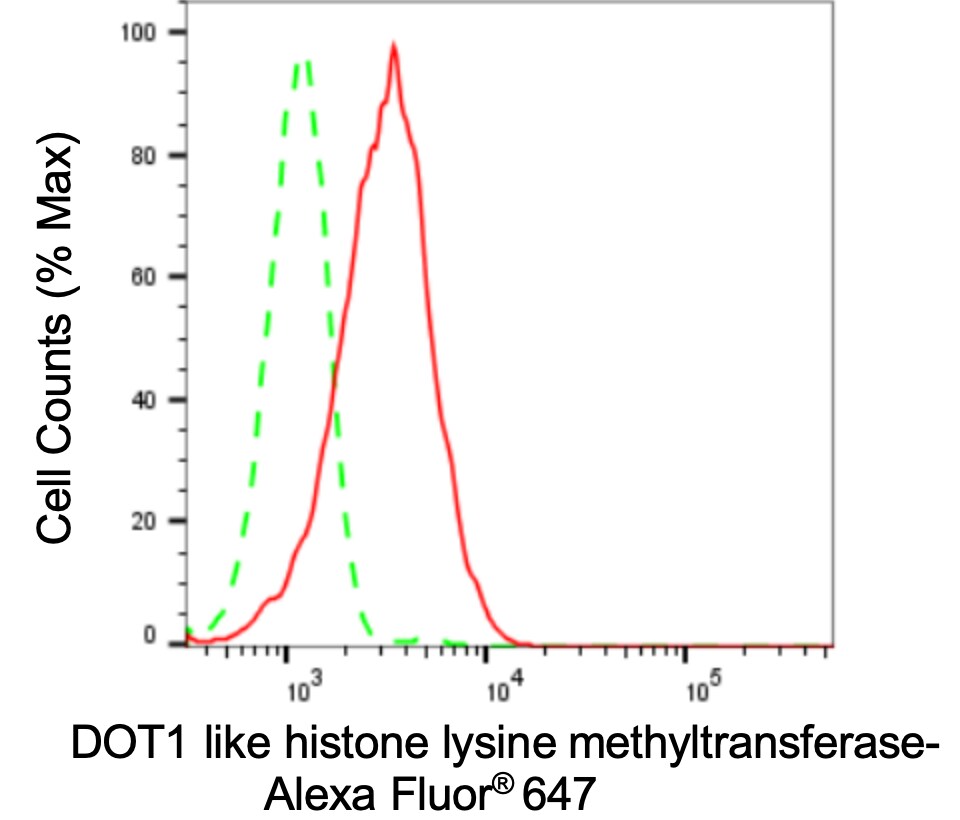 DOT1L Antibody (24GB3170)