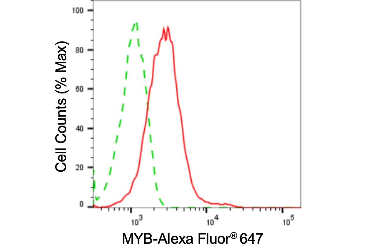 MYB Antibody (24GB3175)