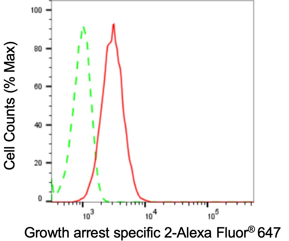 GAS2 Antibody (24GB3195)