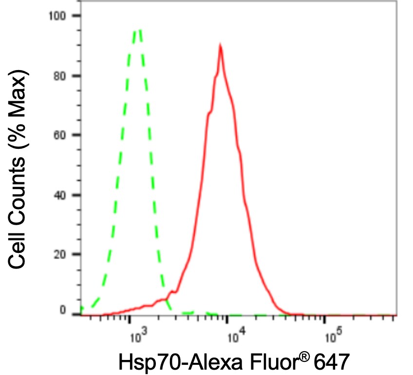 HSP70/HSPA1A Antibody (24GB3205)
