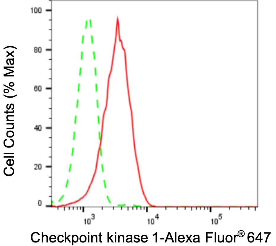 Chk1 Antibody (24GB3245)