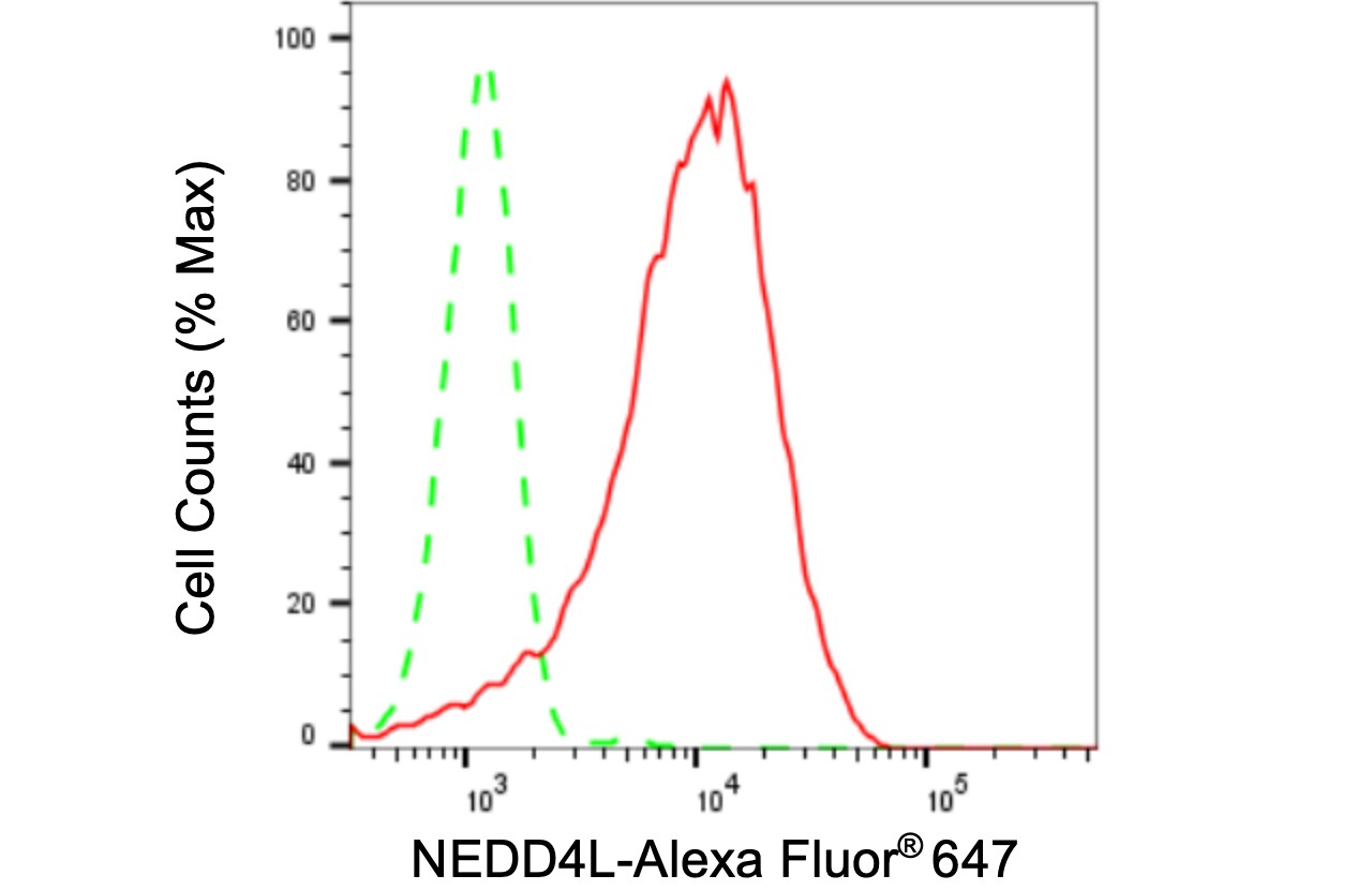 NEDD4L Antibody (24GB3280)