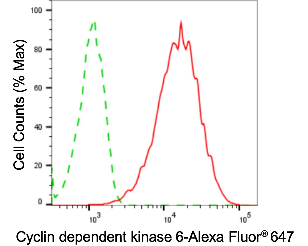 Cdk6 Antibody (24GB3310)
