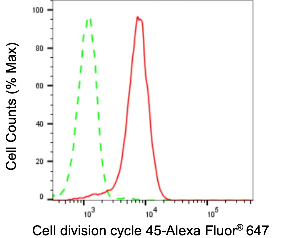 CDC45L Antibody (24GB3335)
