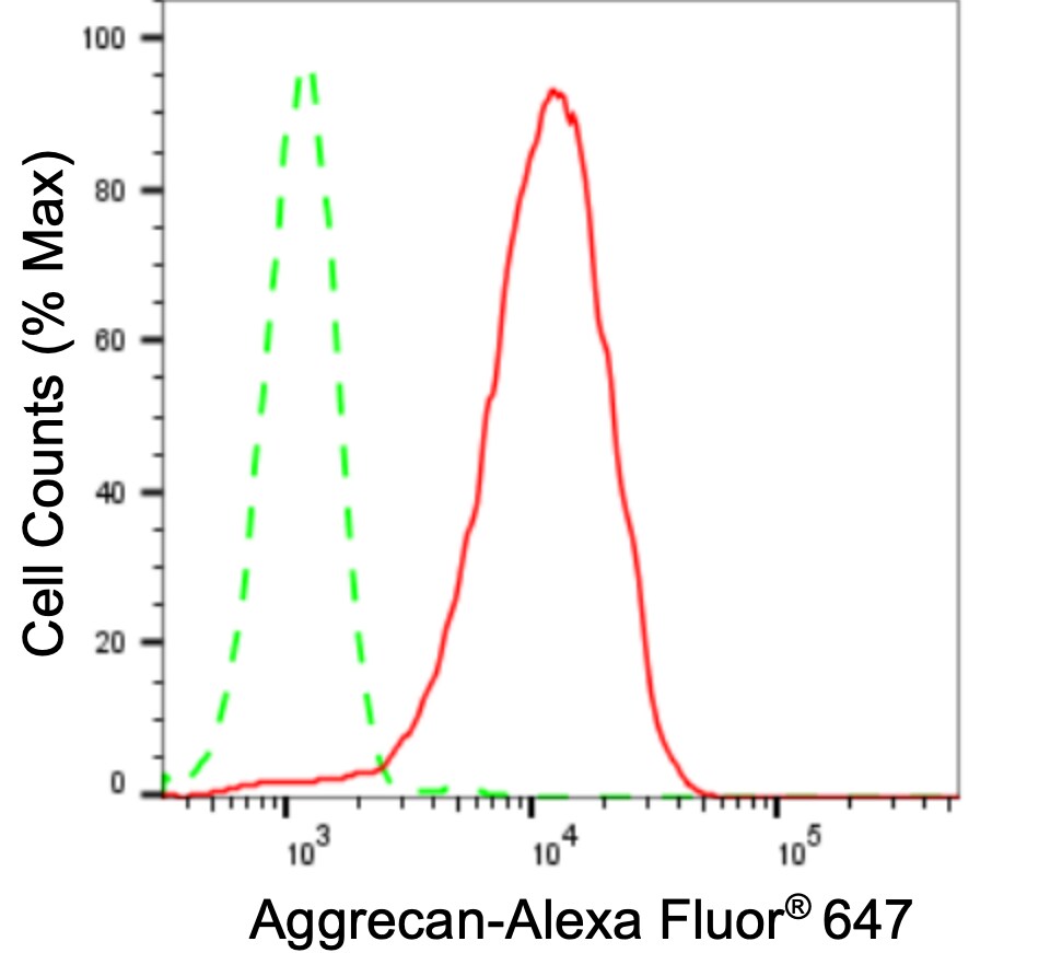 Aggrecan Antibody (24GB3415)