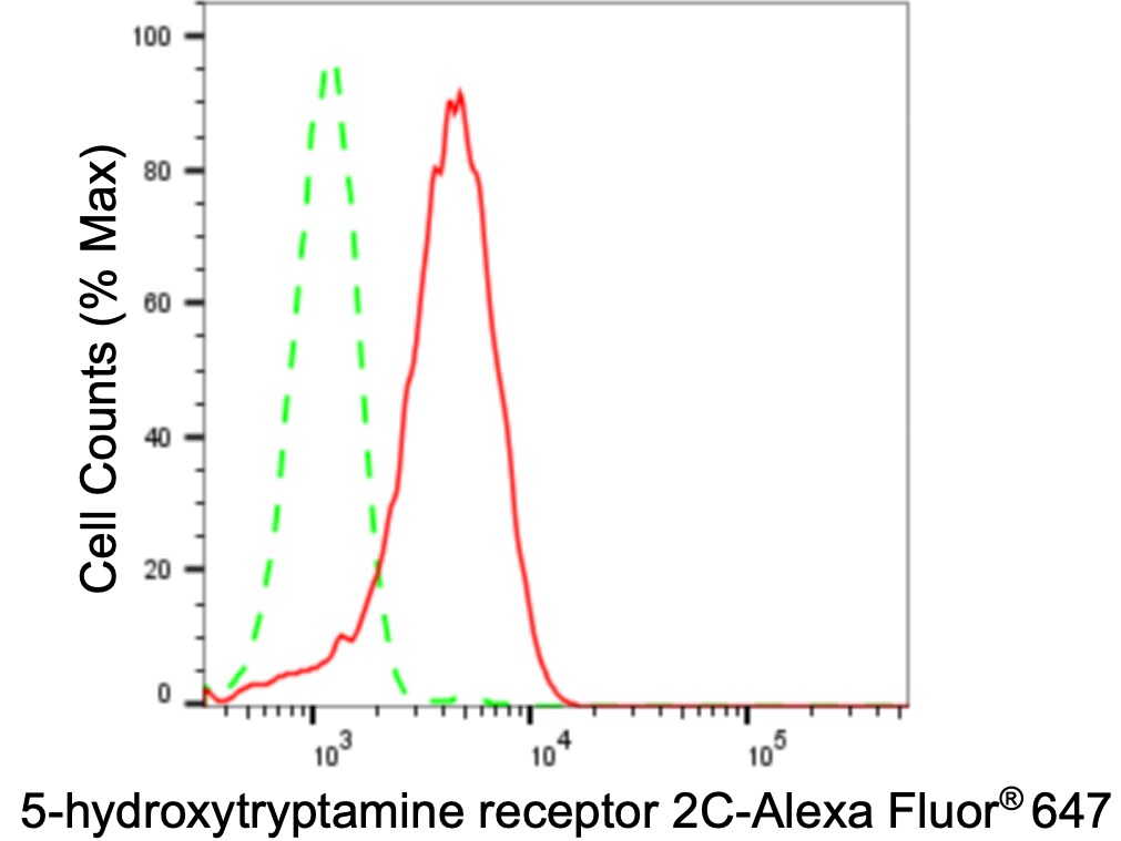 5-HT2C Antibody (24GB3460)