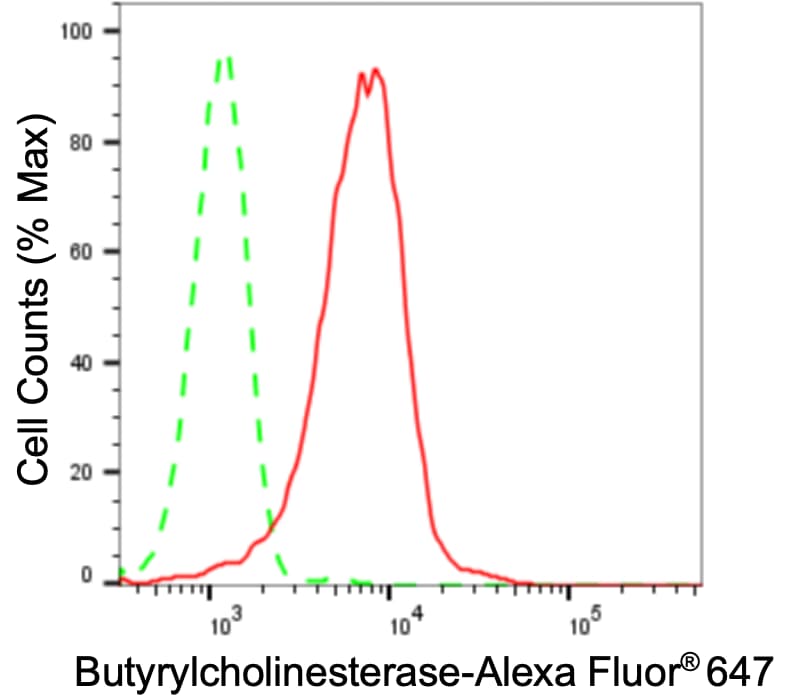 Butyrylcholinesterase/BCHE Antibody (24GB3485)