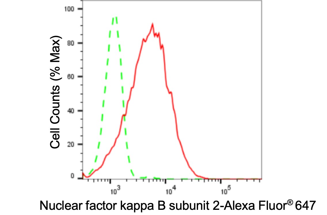 NFkB2/NFkB p100 Antibody (24GB3505)