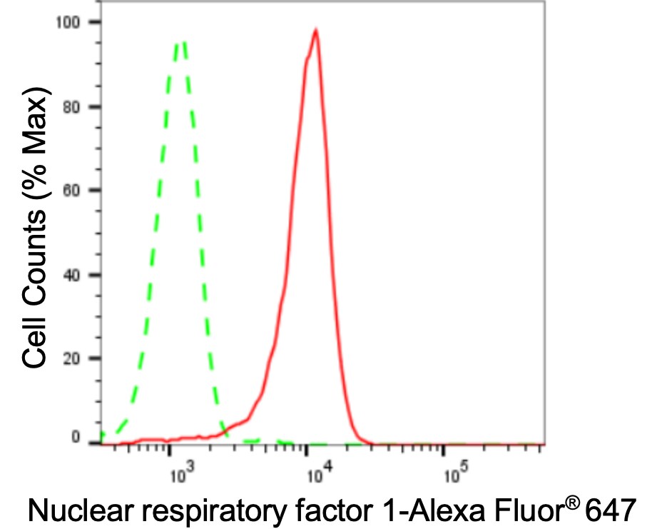 Nrf1 Antibody (24GB3515)