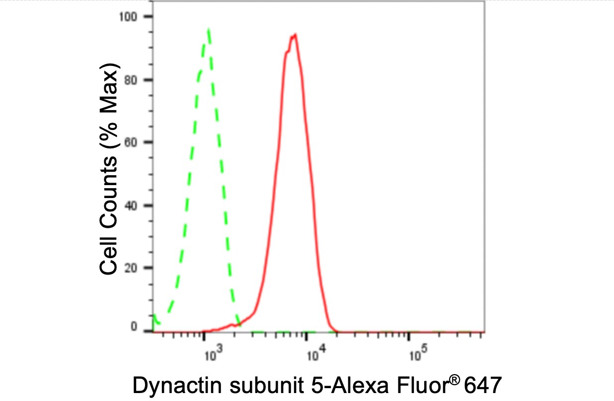 DCTN5 Antibody (24GB3540)
