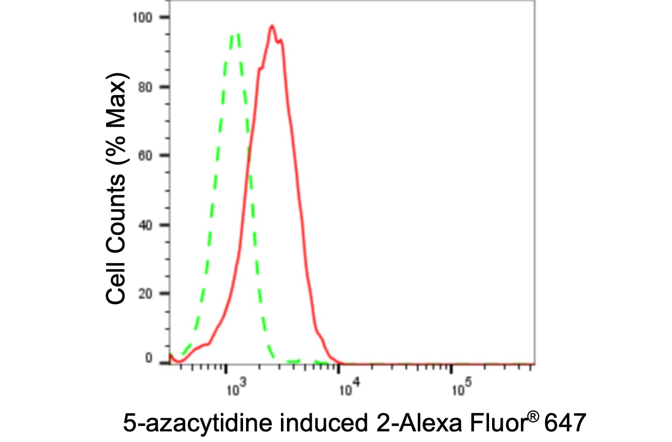 AZI2 Antibody (24GB3555)