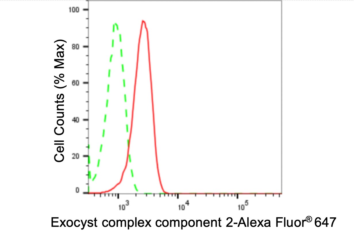 EXOC2 Antibody (24GB3575)