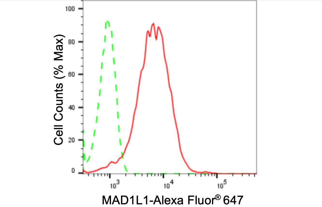 MAD1L1/MAD1 Antibody (24GB3620)