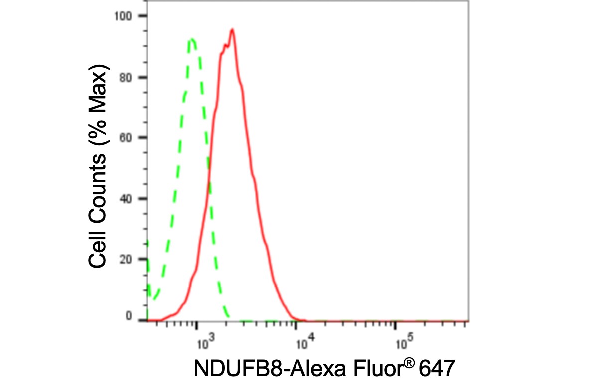 NDUFB8 Antibody (24GB3625)