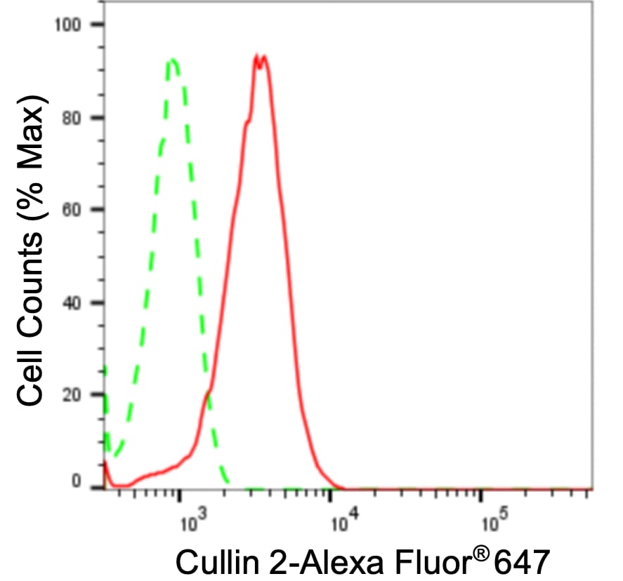 Cullin 2 Antibody (24GB3645)