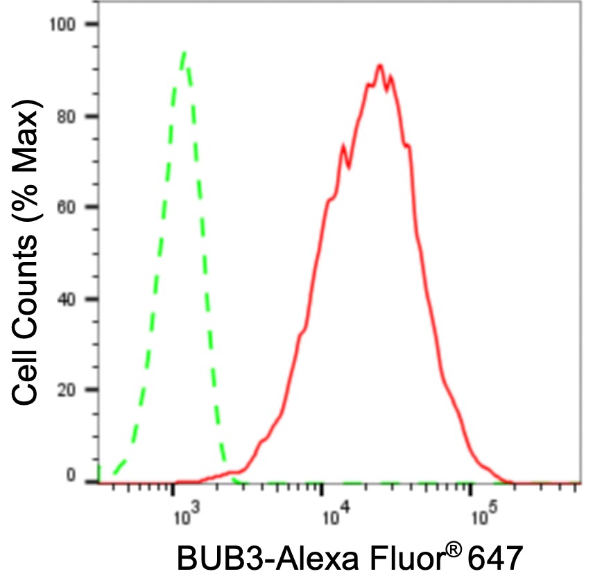 Bub3 Antibody (24GB3685)
