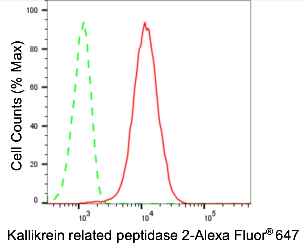 Kallikrein 2 Antibody (24GB3700)