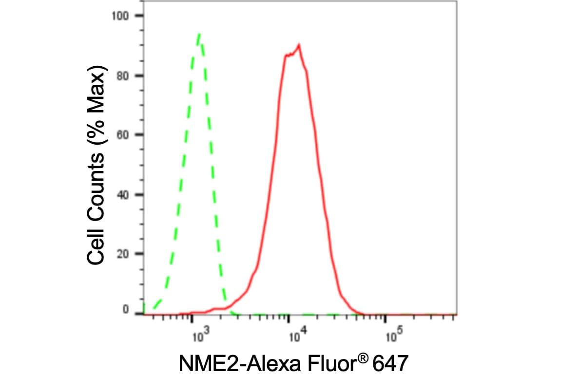 NM23-H2/NME2 Antibody (24GB3730)